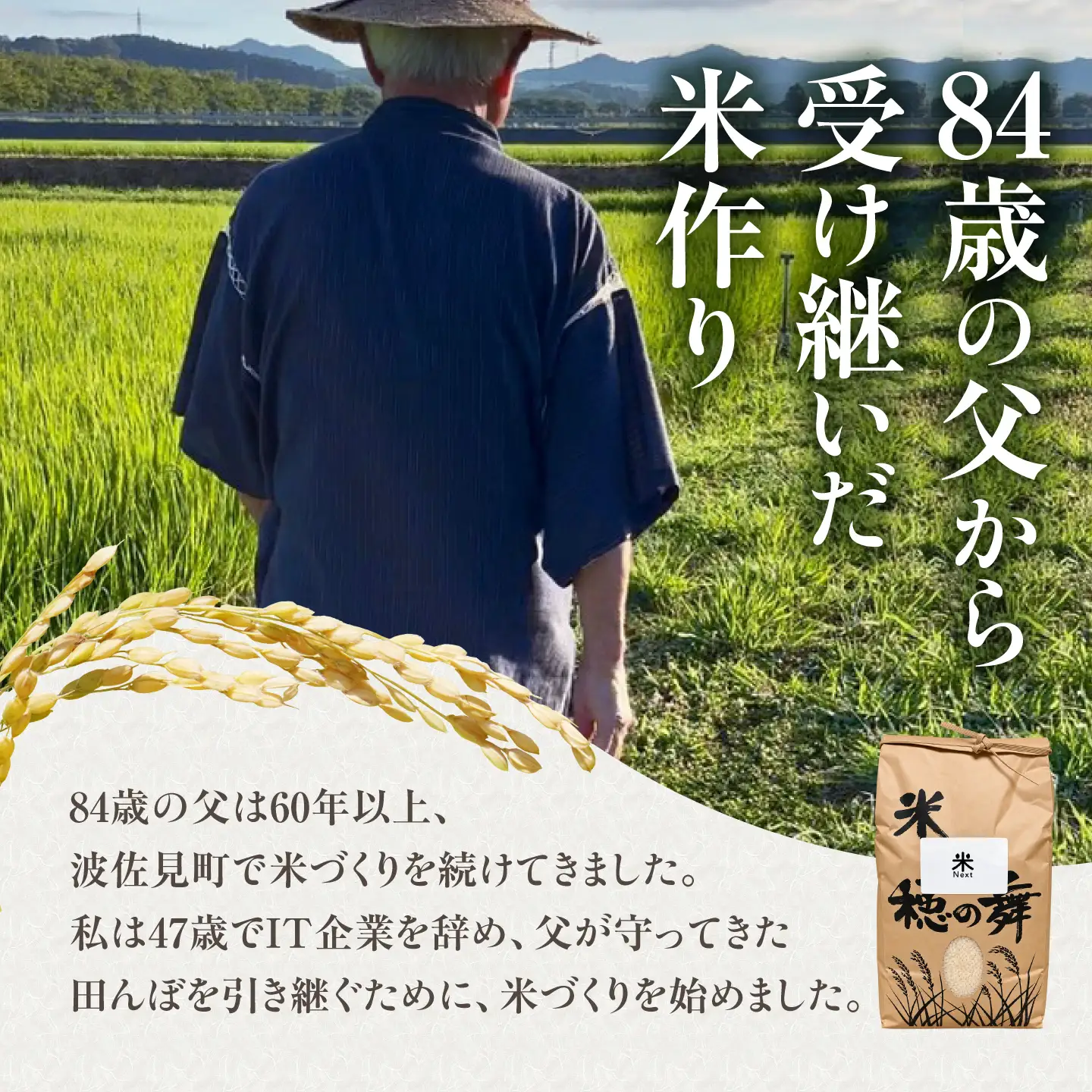 【令和8年産 新米】波佐見町産 なつほのか 10kg(5kg×2袋) 米Next 白米[CH02]