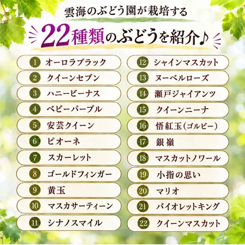 園主おまかせ！ぶどう8～9種詰め合わせセット8～9房入り 約4kg コンテナ茶箱 岡山県高梁市産
