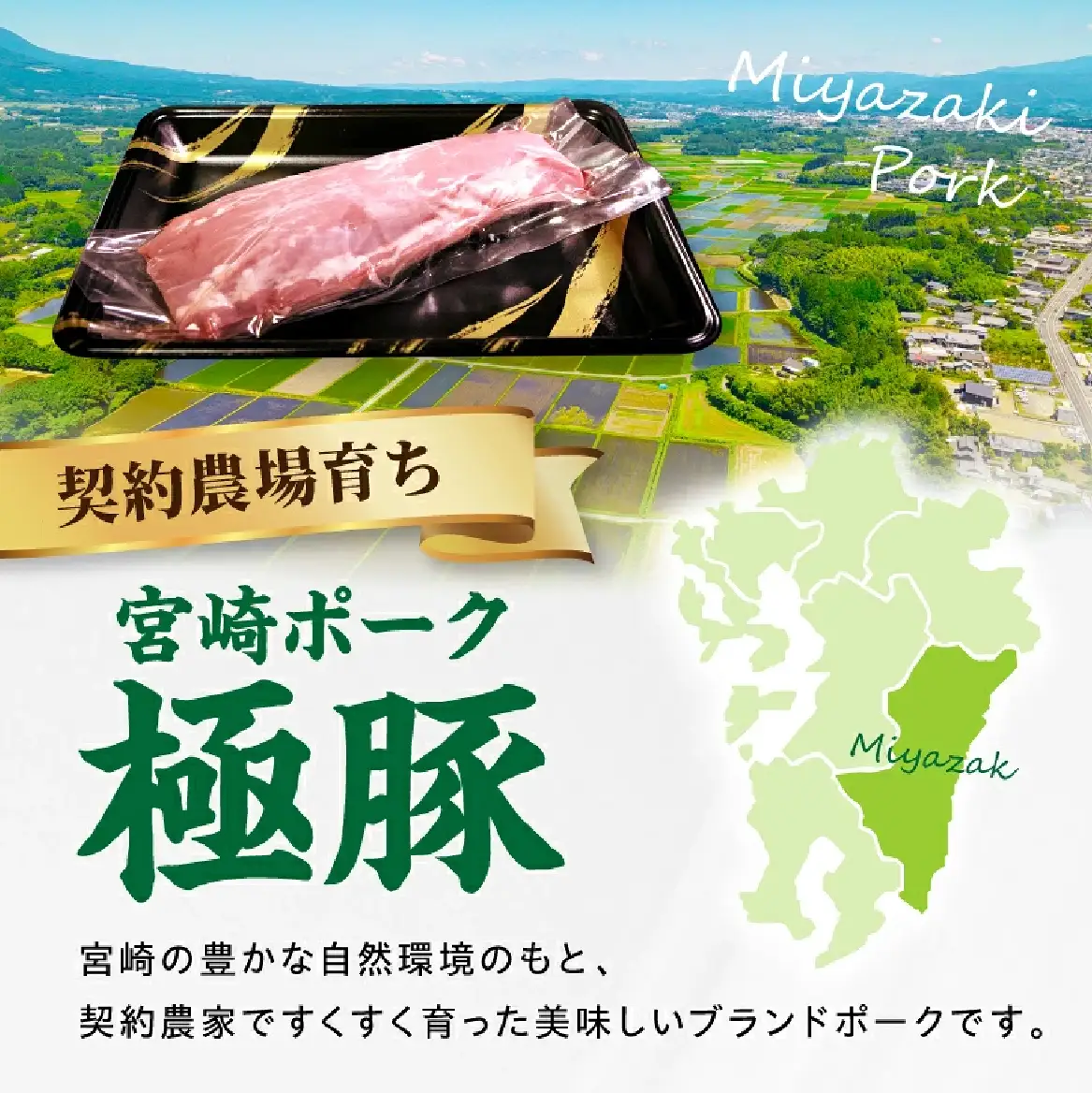 【産地直送】契約農場ですくすく育った宮崎ポーク極豚シャトーブリアンブロック肉 300g