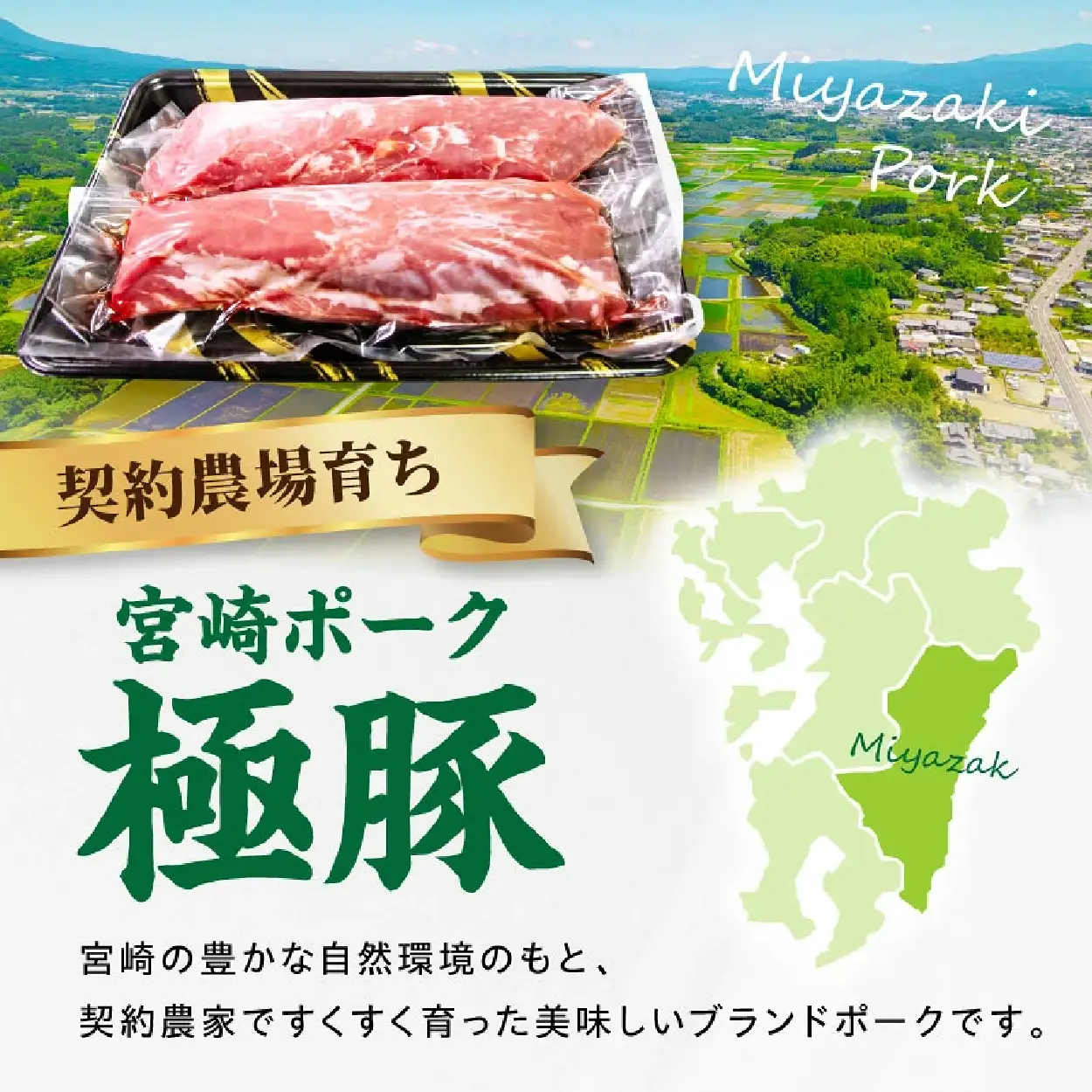 豚ヒレ 【産地直送】契約農場ですくすく育った宮崎ポーク極豚ヒレブロック　400g