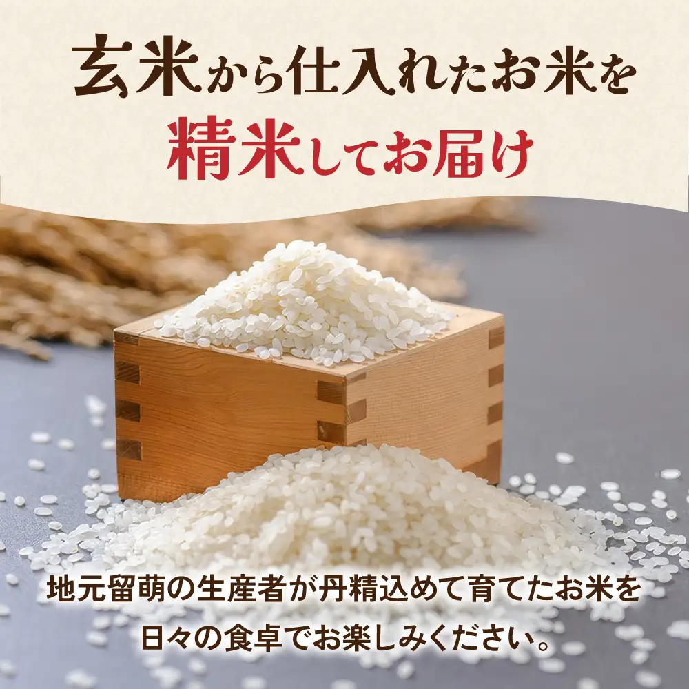 【12ヵ月定期便】【新米予約】令和8年産 ゆめぴりか 無洗米 3kg 北海道 留萌管内産 