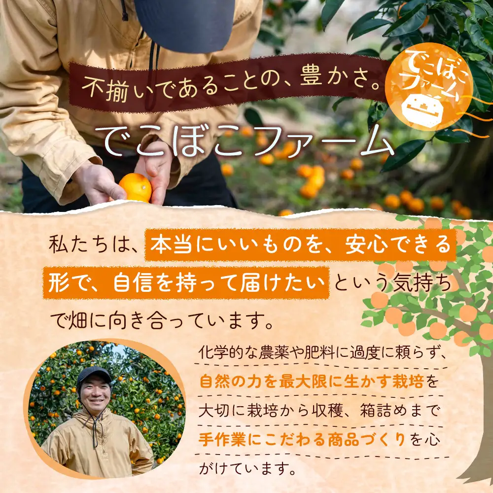 柑橘の庭 マーマレード 2種セット