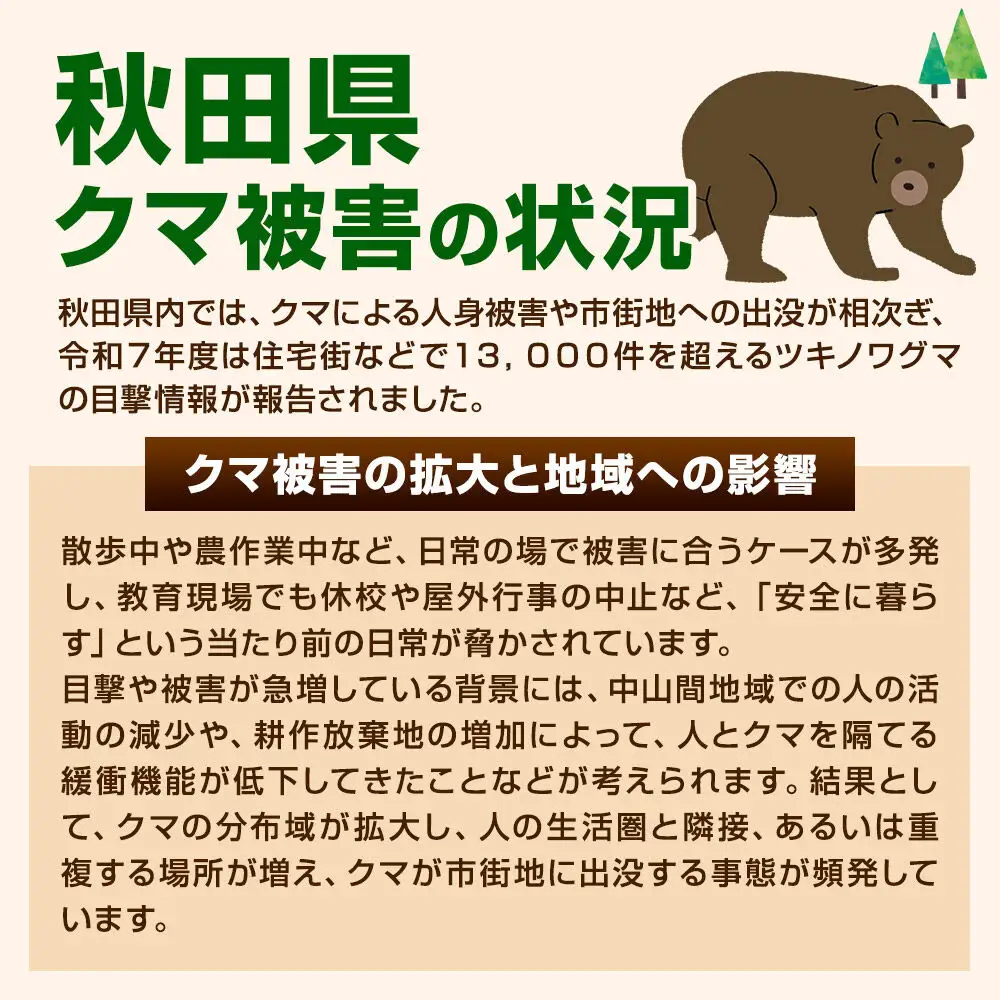 【先行予約】熊肉 500g 冷凍 秋田県産