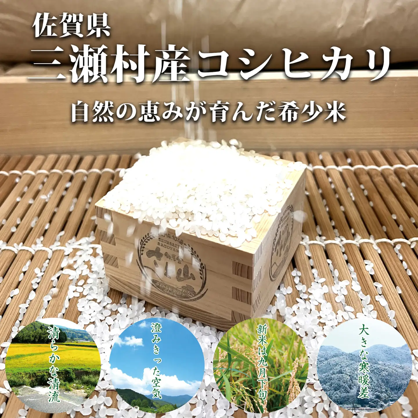 カレー 6人前セット（アムールレトルトカリー6箱・コシヒカリ3合×2P） / カレーライス 米 / 佐賀県 / 旬菜舎さと山[41AABM058]