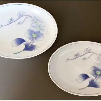 有田焼 華山窯 胡蝶蘭 楕円トレー 皿 2枚 セット【東洋セラミックス】 食器 器 うつわ プレート 幸福 お皿 au038