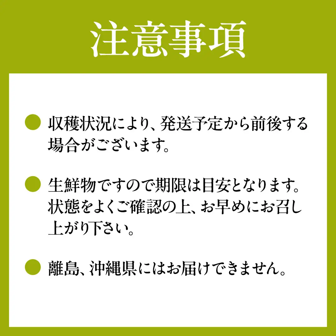 【3回定期便】 シャインマスカット 4房  (県内共通返礼品:かすみがうら市産) マスカット しゃいんますかっと 皮ごと フルーツ 果物 くだもの ぶどう ブドウ 葡萄 新鮮 季節限定 旬 旬の果物 季節の果物 茨城 [BR188]