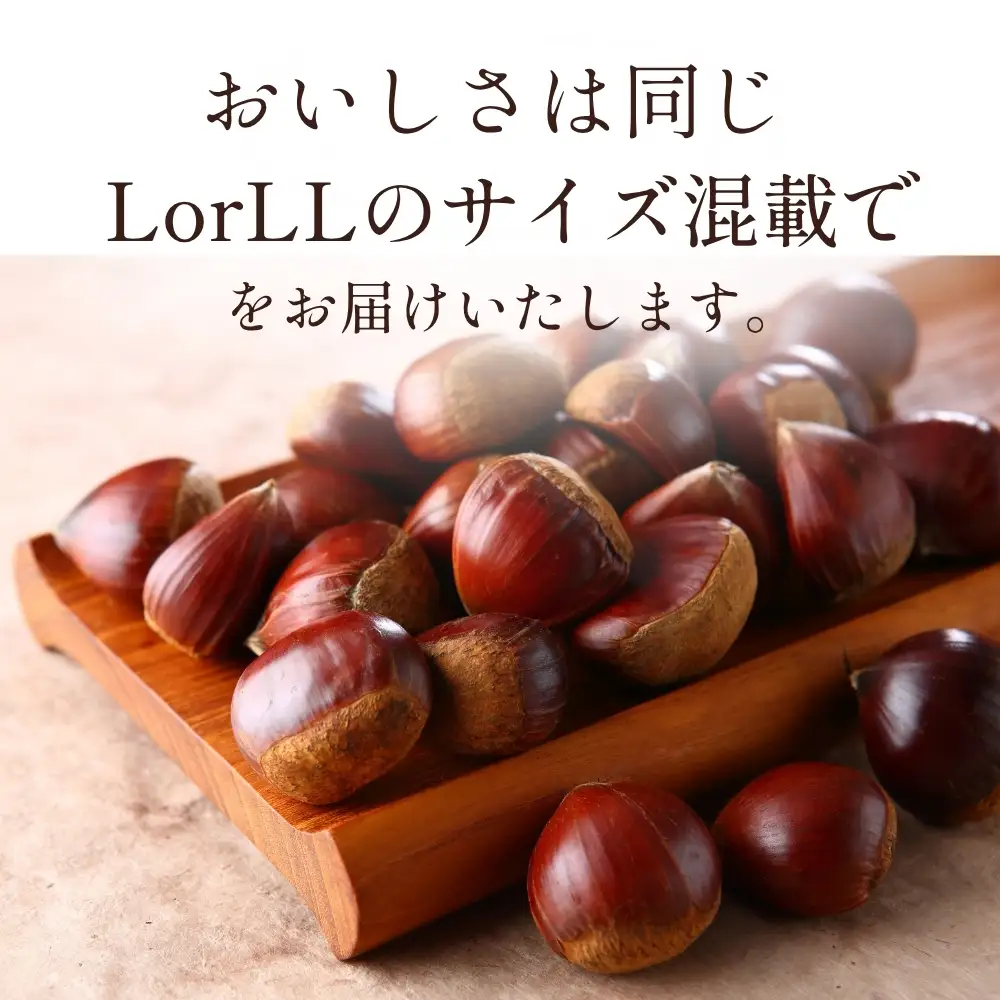 〈予約 期間限定〉訳あり 熟成丹波栗 L or LL 混載 2kg 栗