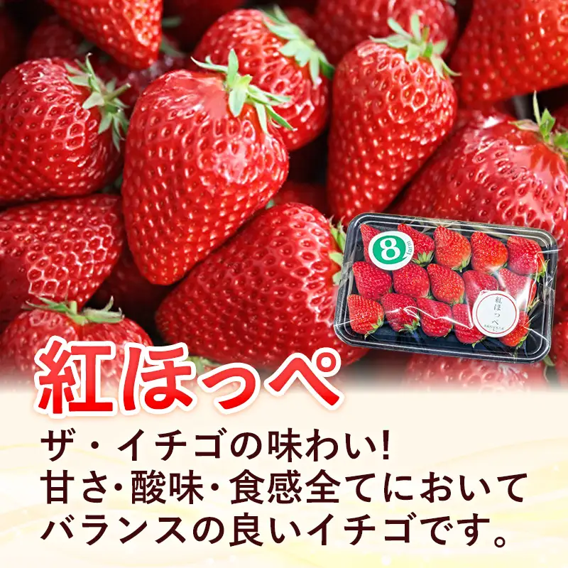 【先行予約】 紅ほっぺ 4パック 【 約290g×4パック べにほっぺ イチゴ いちご 苺 ストロベリー 冷蔵 安来市産】【16-FA-07】