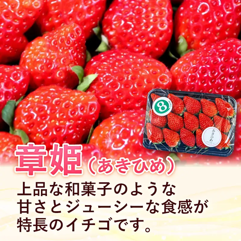 【先行予約】 章姫 4パック 【 約290g×4パック あきひめ イチゴ いちご 苺 ストロベリー 冷蔵 安来市産】【16-FA-09】