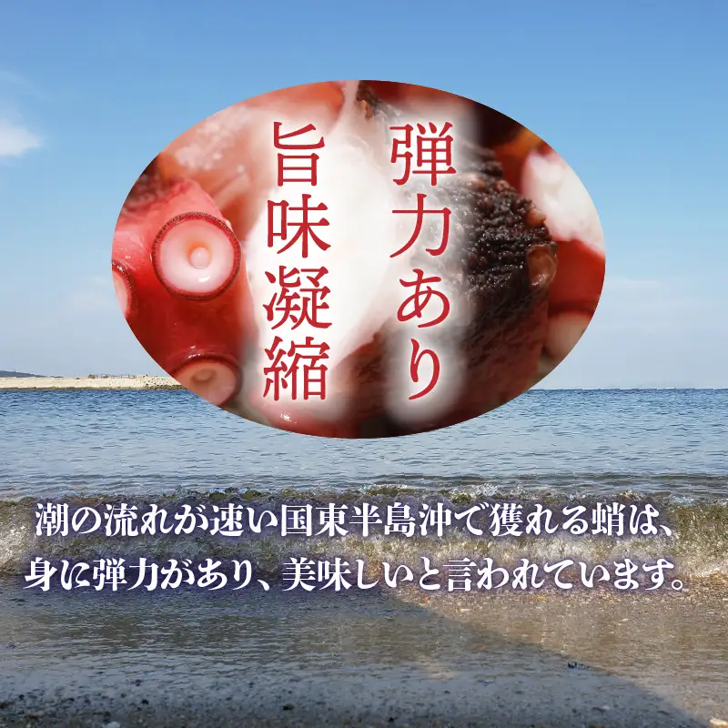 テレビで紹介されました！ 漁師が作る本格派！にんにく醤油味のたこ唐揚げ 245g×2袋/計490g_29241A-2