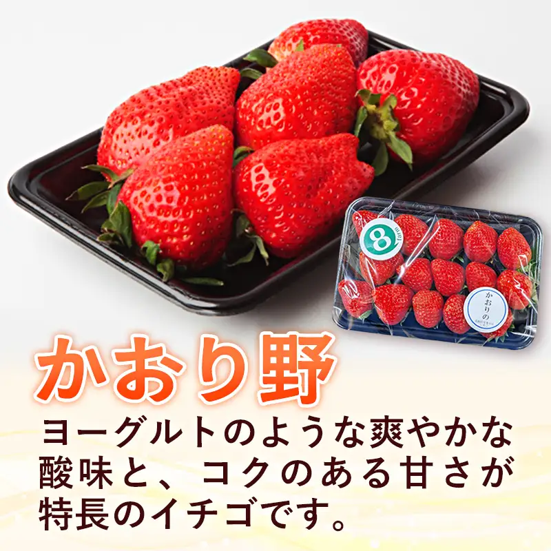 【先行予約】 かおり野 4パック 【 約290g×4パック かおりの イチゴ いちご 苺 ストロベリー 冷蔵 安来市産】【16-FA-11】