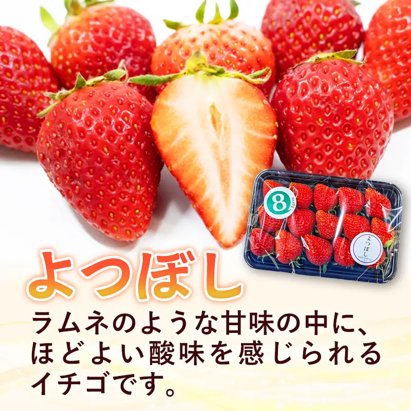 【先行予約】 よつぼし 2パック 【 約290g×2パック 四つ星 イチゴ いちご 苺 ストロベリー 冷蔵 安来市産】【10-FA-12】