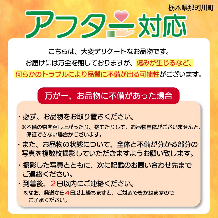【先行予約】いちご ミルキーベリー 560g (280g×2P)｜栃木県 那珂川町 送料無料