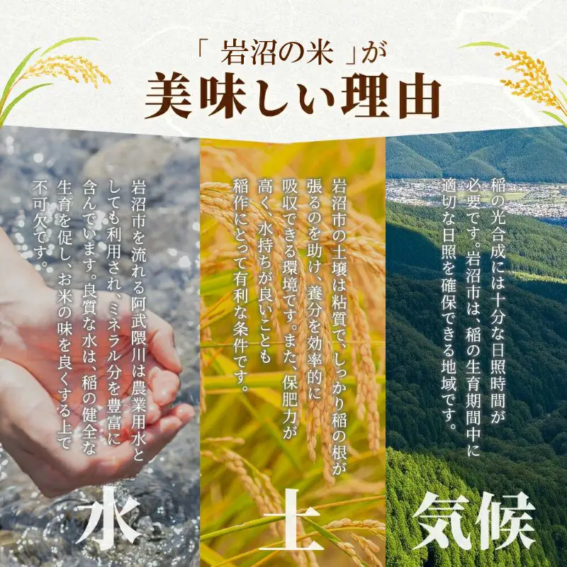 【令和8年産】 新米 宮城県産 つや姫 精米 5kg