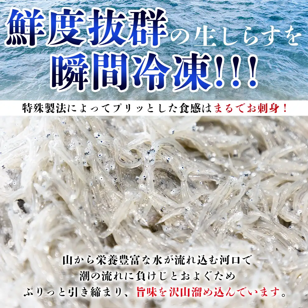 生しらす お刺身 10パック 計700ｇ 生しらす fa-0008