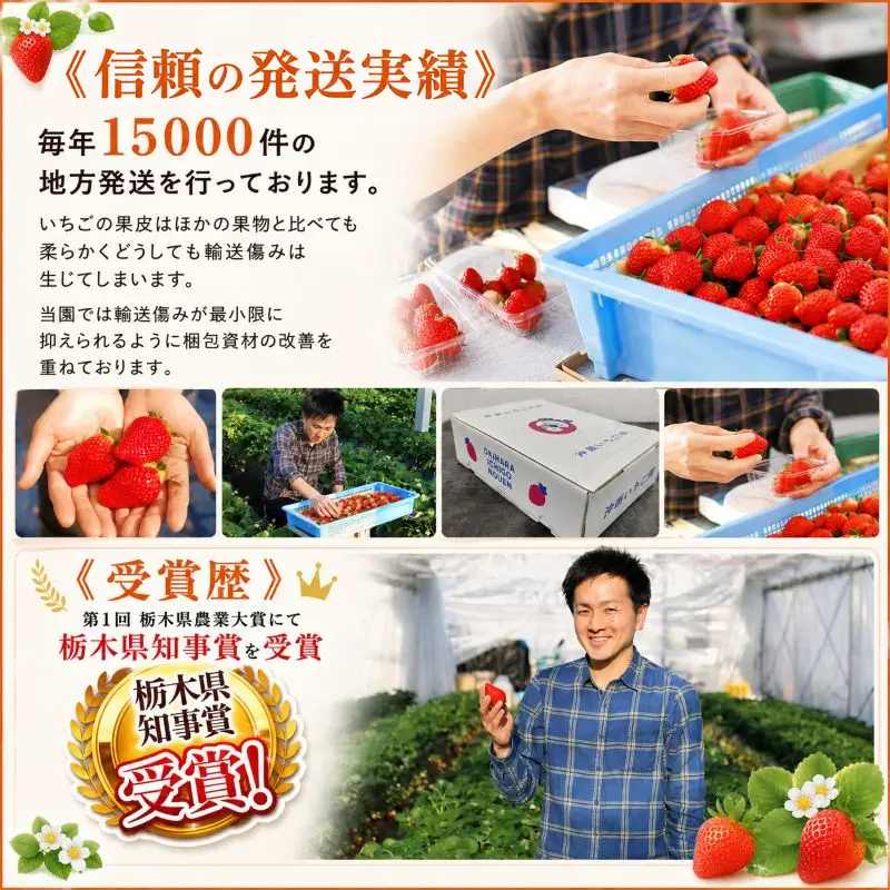 澳原さんの いちご2種類食べ比べ 560g（とちあいか280g・ミルキーベリー280g）栃木県共通返礼品 矢板市産 栃木県下野市