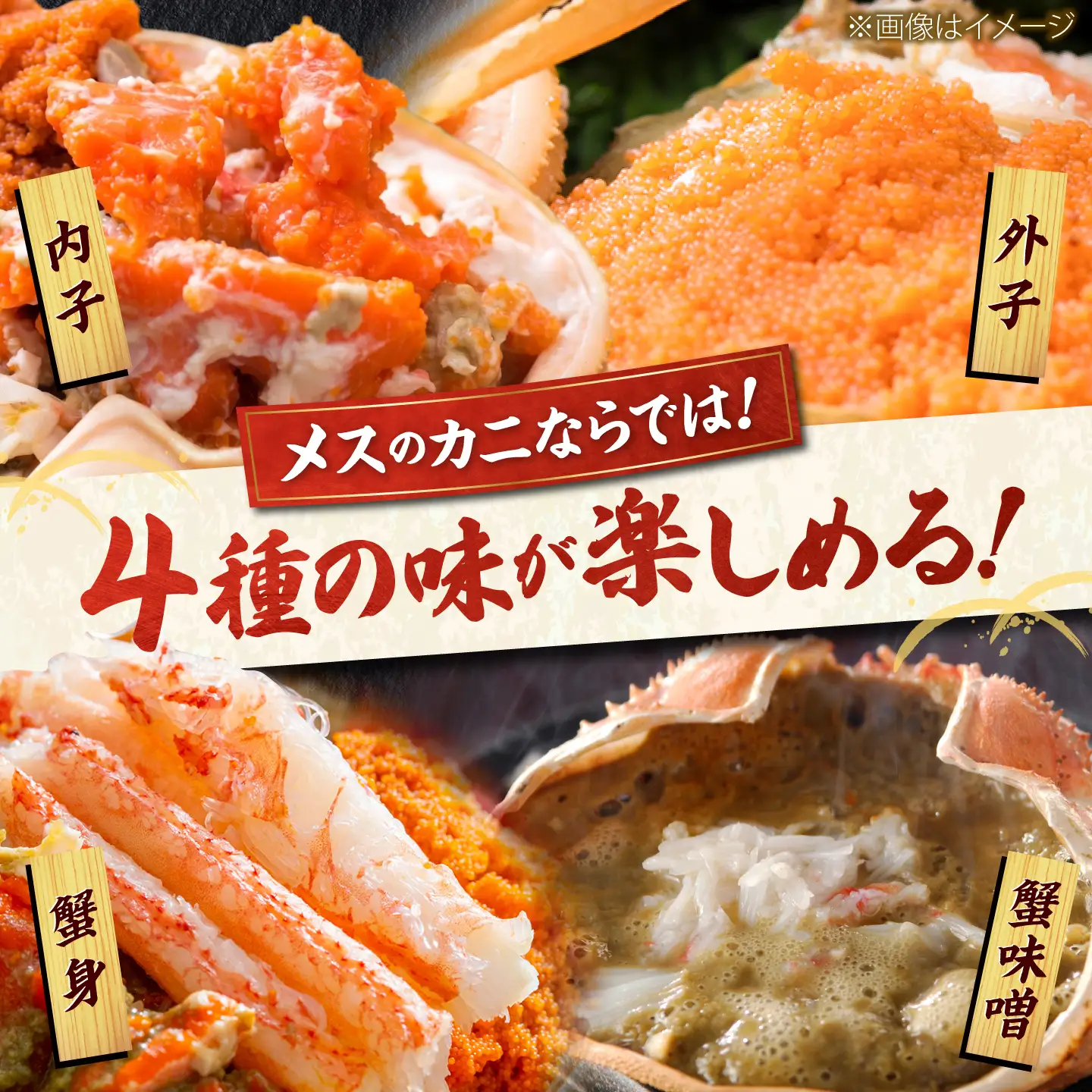 【先行予約/11月7日より順次発送】セイコガニ（ズワイガニのメス）小サイズ 20ハイ / 越前ガニ コッペガニ せいこ蟹 ボイル 小浜市 / まるほ商店 【配送不可地域：北海道・沖縄・離島】[BFCS077]