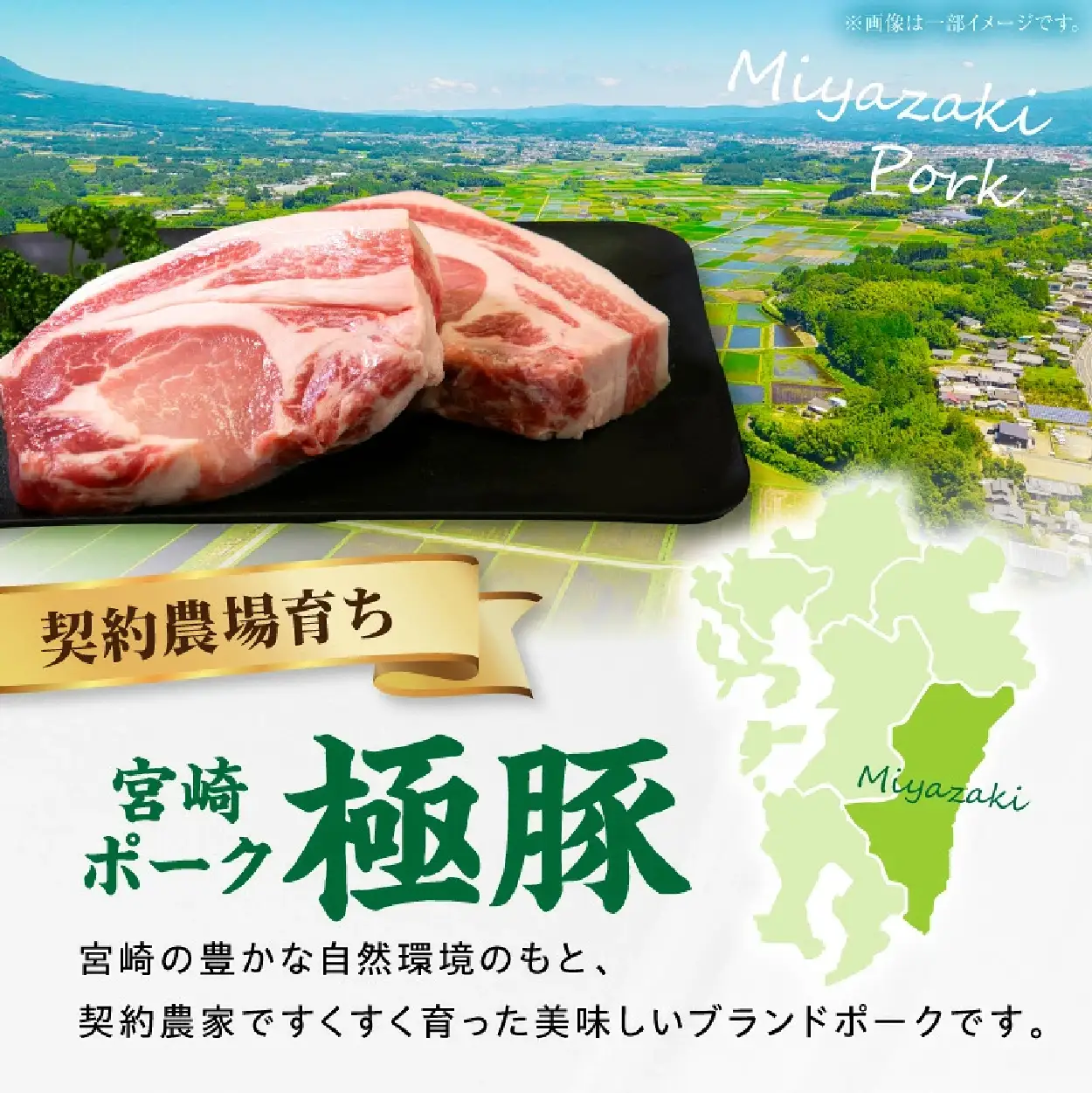 【産地直送・真空個包装】契約農場ですくすく育った宮崎ポーク極豚贅沢厚切りロースステーキ　300g×3枚