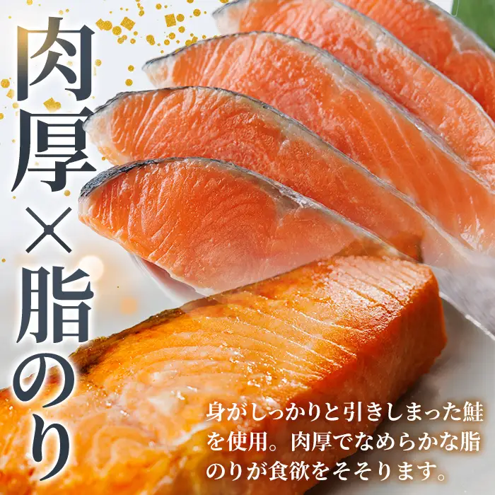 肉厚 鮭 切り身(計1kg・500g×2P)  サーモン切り落とし5枚付き！ 塩鮭 冷凍 厚切【AW-136】【丸正水産】
