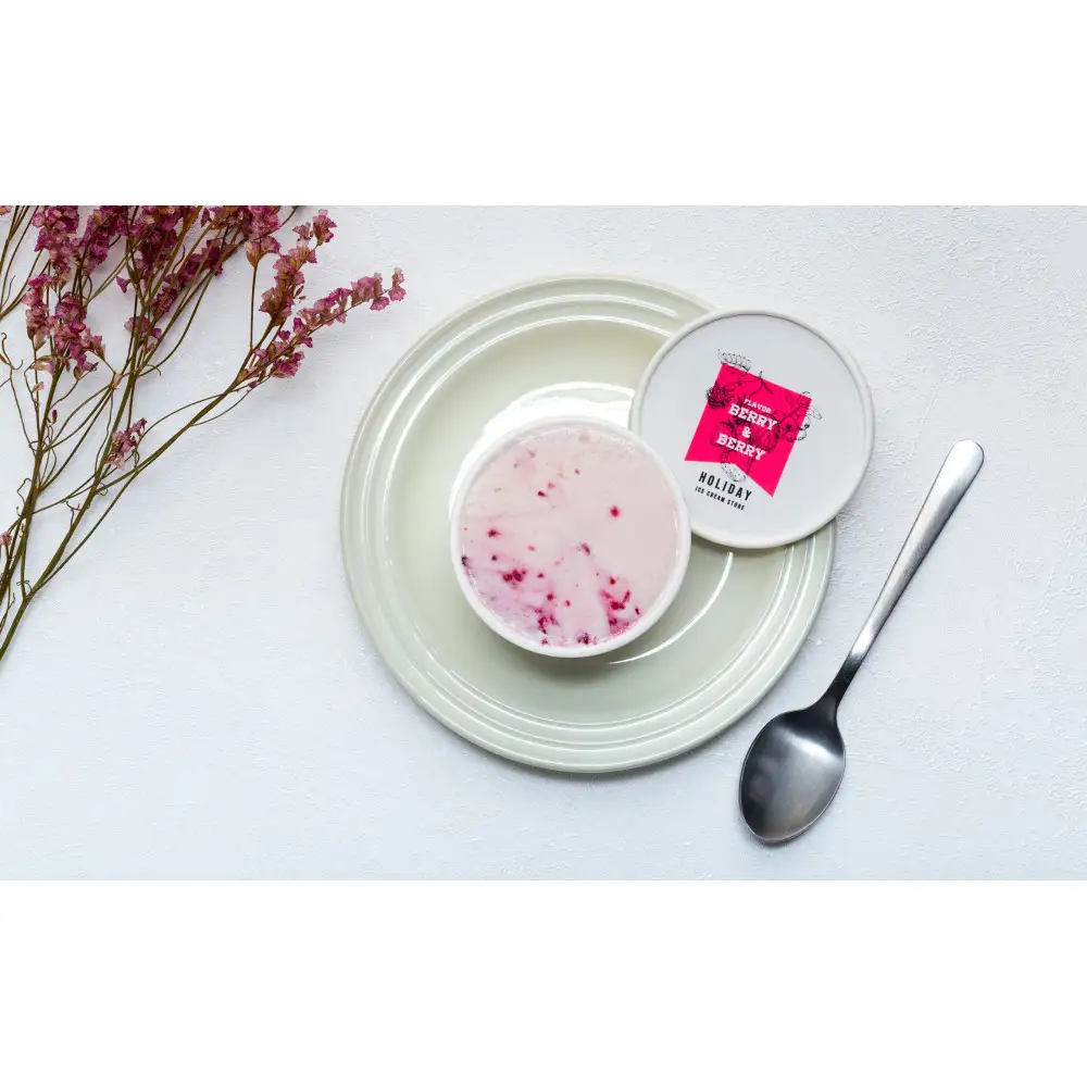 【夏ギフトにも！】クラフトアイスクリーム HOLIDAY ICE CREAM STORE CLASSICS 132ml×12個セット