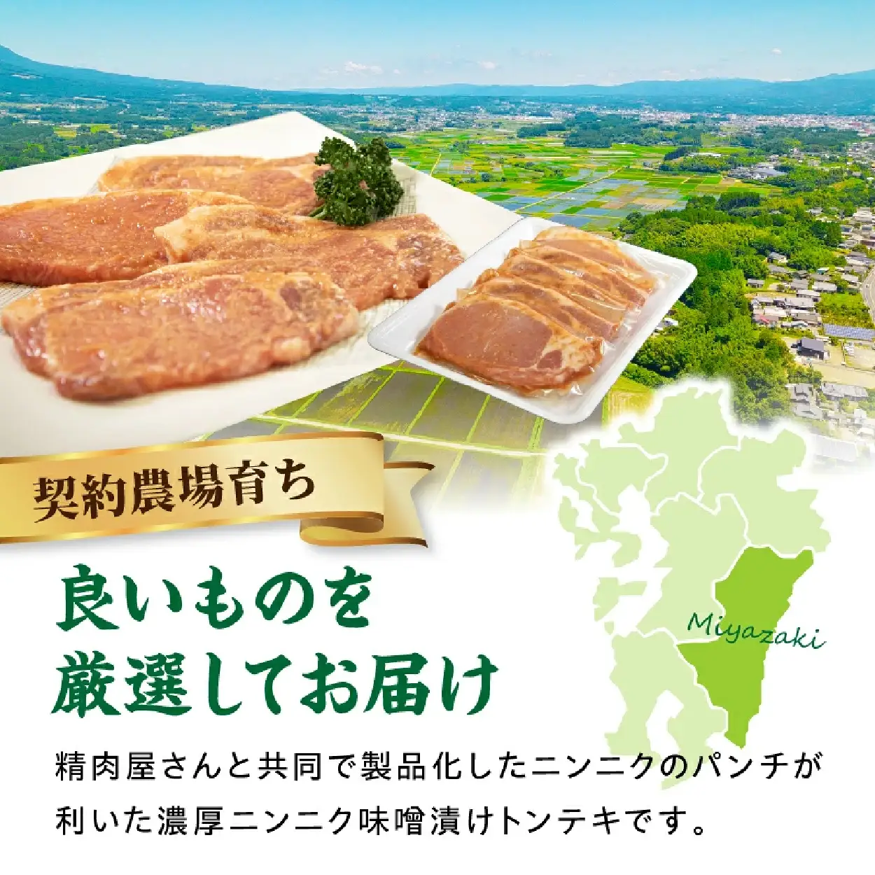 豚肉 【宮崎県産ブランドポーク】濃厚ニンニク味噌漬けトンテキ 500g