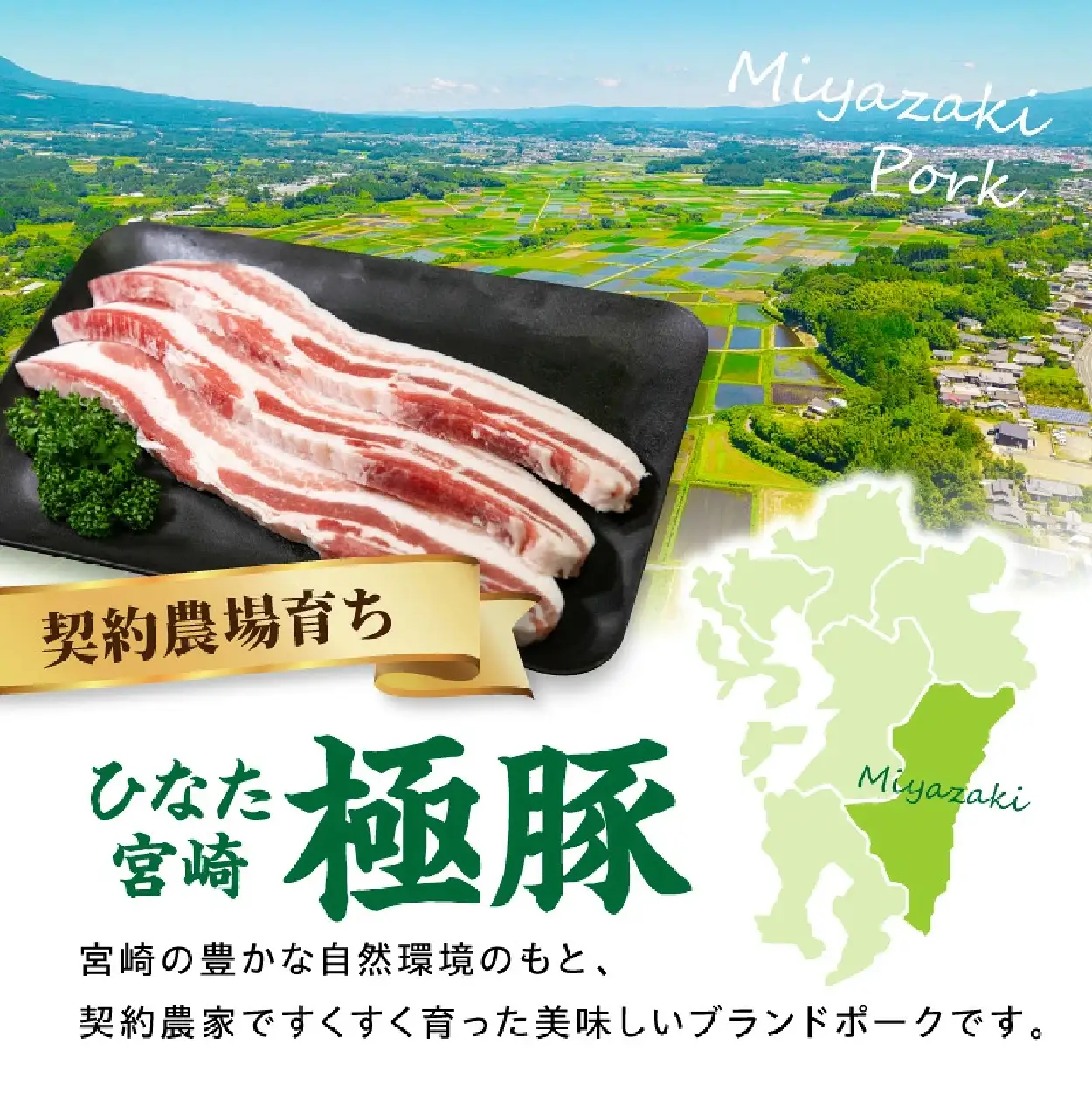 豚肉 ひなた宮崎極豚バラ新鮮厚切り肉 計600g（サムギョプサル、BBQ、焼肉）