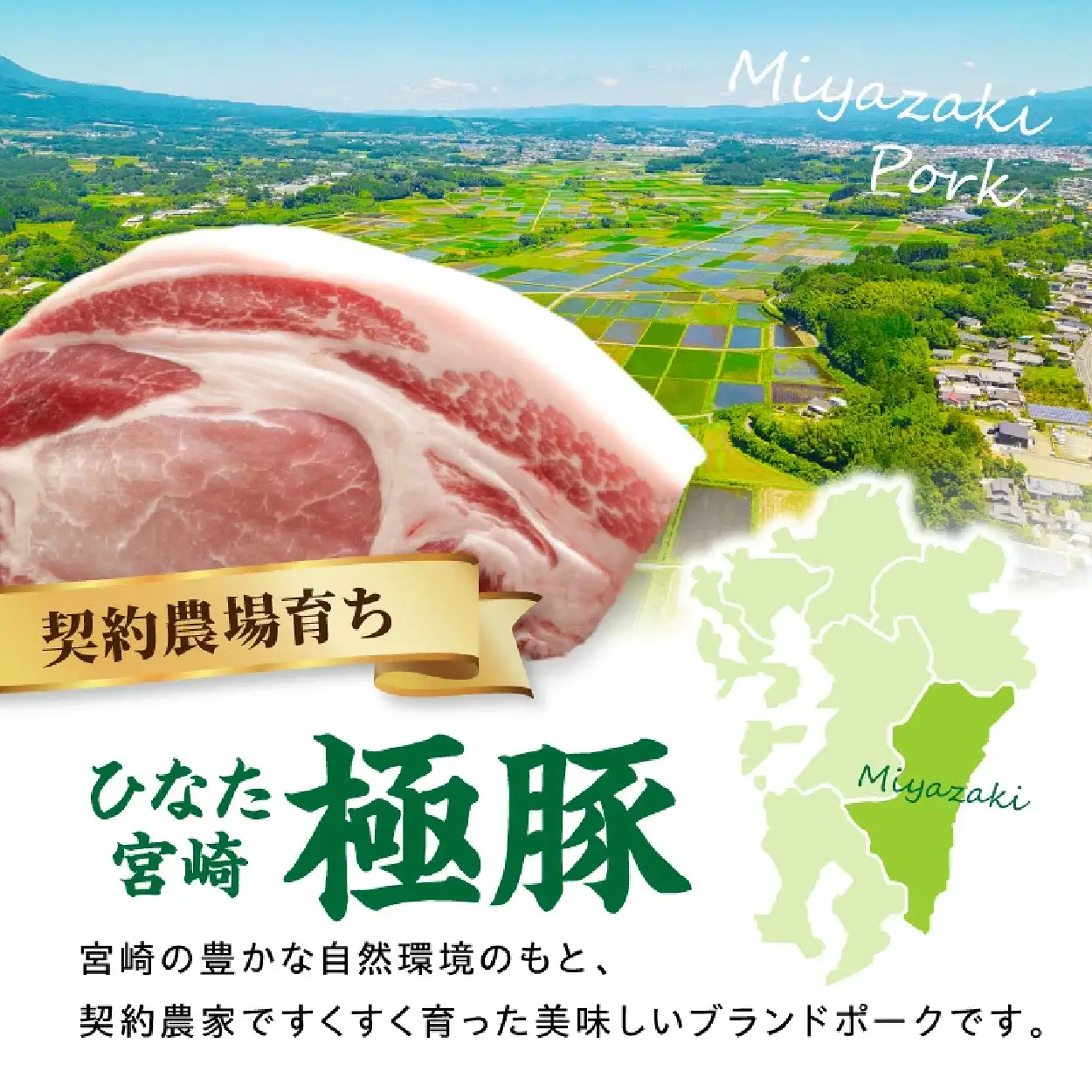 豚ロース ひなた宮崎極豚ロース塊 500g×2P（豚肉 豚 ロース ブロック とんかつ トンテキ 生姜焼き）