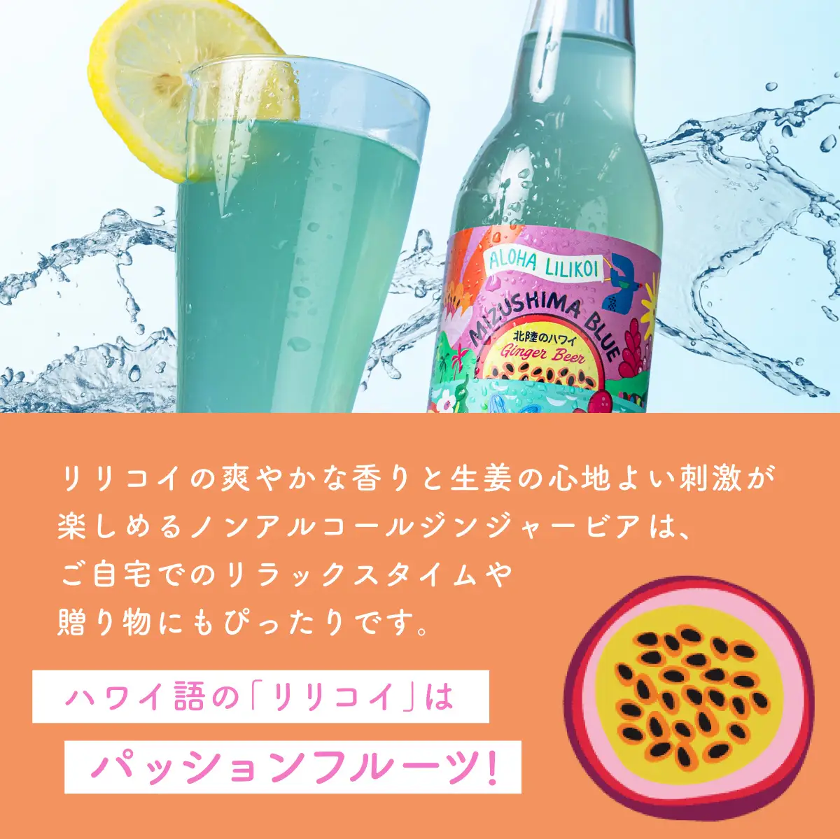 MIZUSHIMA BLUE 北陸のハワイ ノンアルコール・ジンジャービアー 3本セット [046-a002]