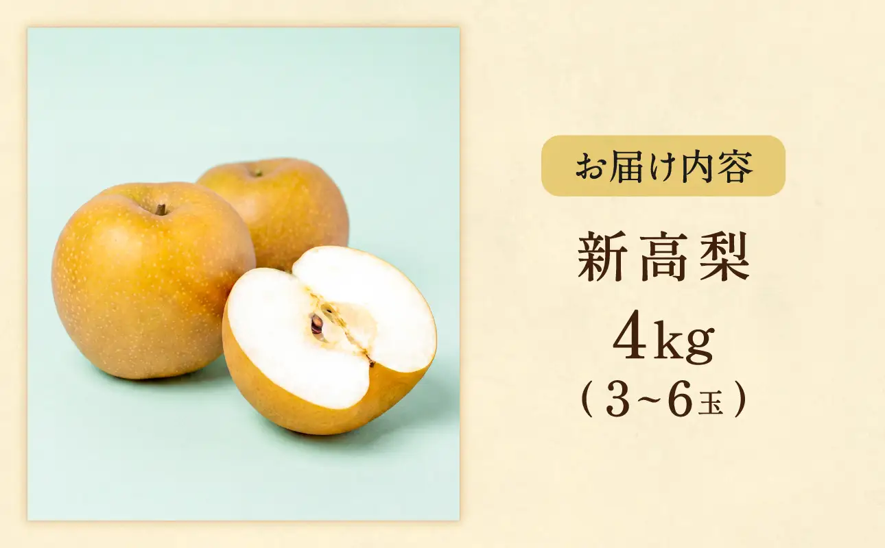 【2027年発送・先行予約】新高梨 3～6玉（約4kg） 化粧箱入り（令和9年9月下旬～11月上旬頃発送）【梨】_bz