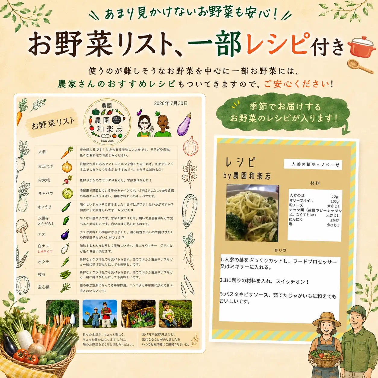 【千葉県香取市】旬の「季節の野菜セット」【詰め合わせ】【WGS002】