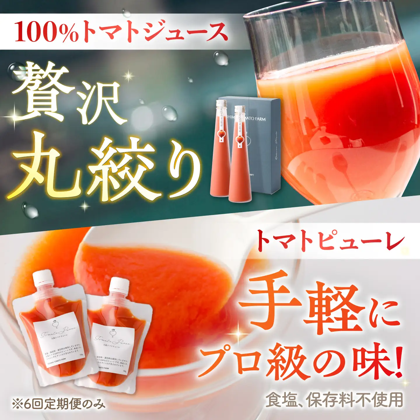 【6回定期便】 トマトづくし定期便 ＜大島造船所 農産グループ＞[CCK045]