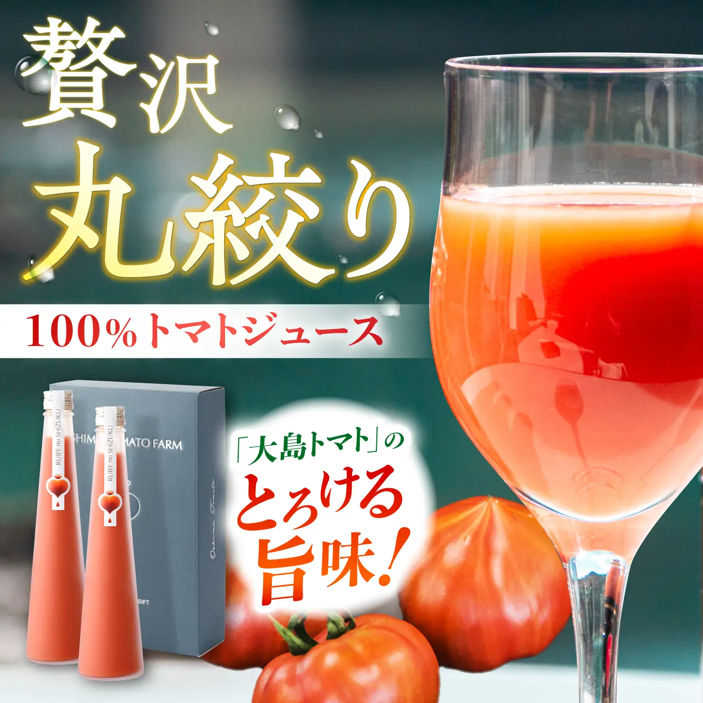 【3回定期便】 トマトづくし定期便＜大島造船所 農産グループ＞[CCK046]