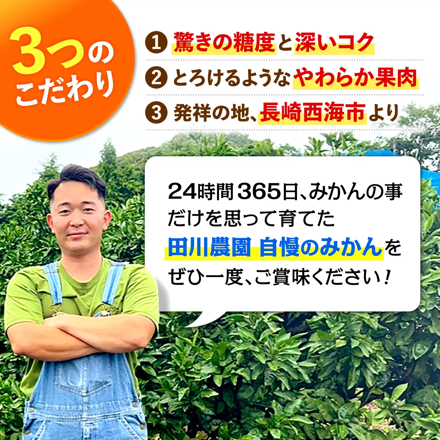 【数量限定】 【訳あり】 原口みかん 約5kg ＜田川農園＞[CGR002]