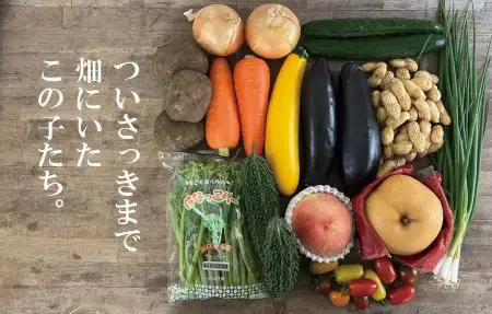 A132 朝採り野菜とフルーツの定期便（12回）