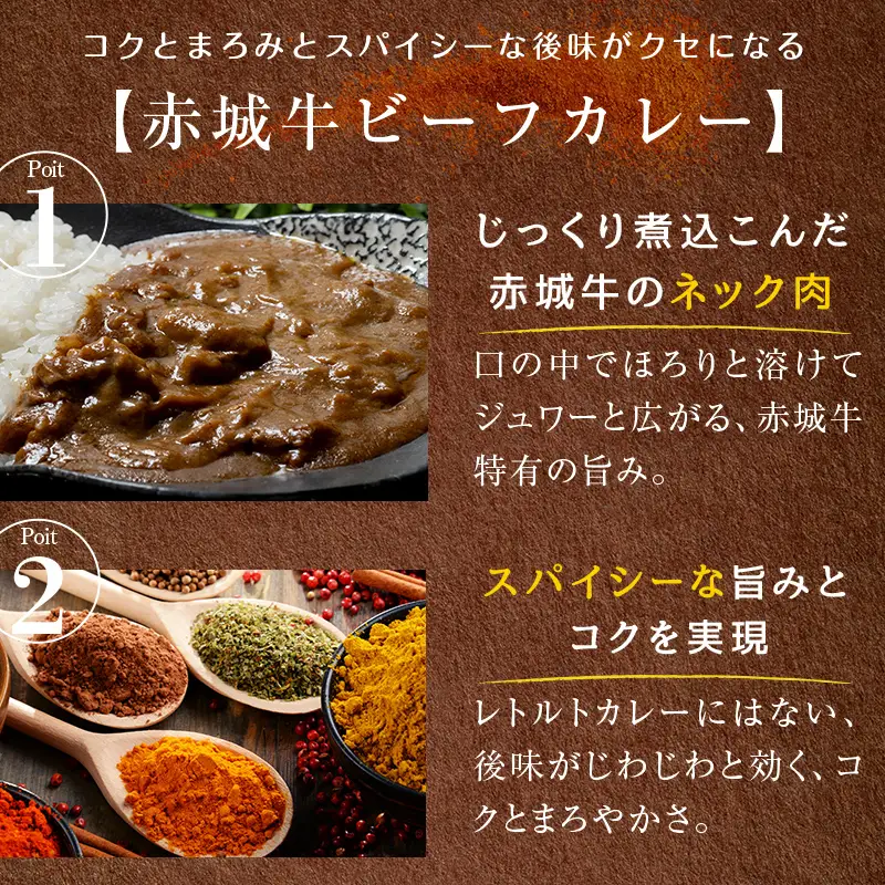 【定期便・全3回】赤城牛ビーフカレー中辛 計30個セット（10個×3回） カレー レトルト 牛肉 銘柄牛 赤城牛 長期保存  F4H-0849