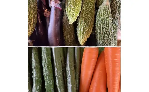 B121 山野りんりんオリジナルボックスで送る旬の野菜とフルーツ定期便（年3回）