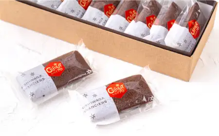 お菓子処たかはし「ショコラフィナンシェ」10個