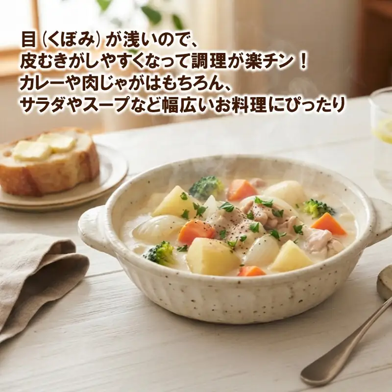 JAきたみらいから直送する新鮮じゃがいも「ゆめいころ」10kg (JAきたみらい JA 直送 じゃがいも いも 芋 ジャガイモ)【104-0019】