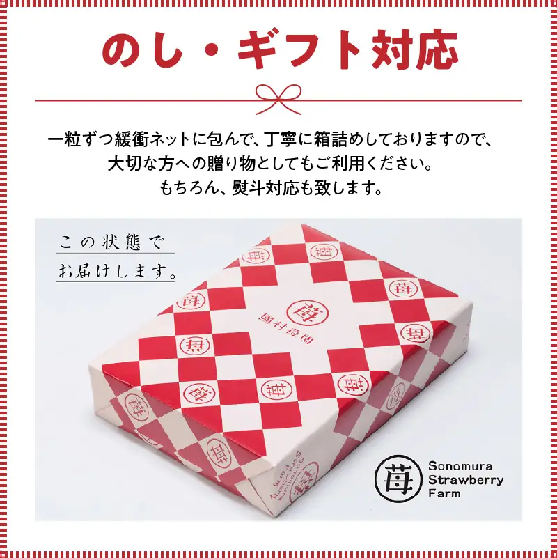 【先行受付】1月発送【農家直送】熊本県宇土市産 完熟さちのか苺 1kg(500g×2箱) _U74-0045_01