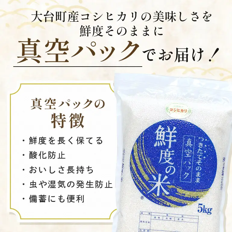 【定期便12回】こしひかり 玄米 10kg (計120kg) 真空パック A17-038