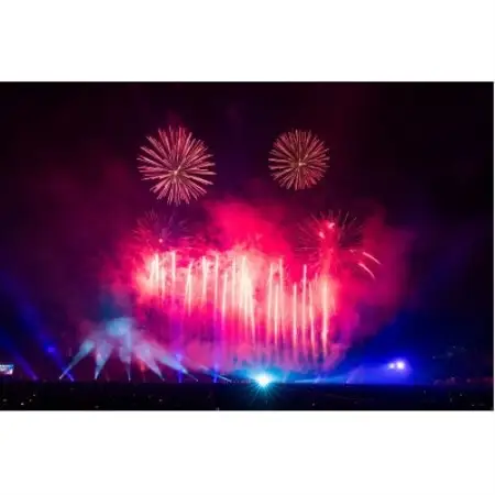 第5回万博夜空がアートになる日 花火鑑賞チケットダイナミックシートペア(大阪北摂エリア共通返礼品)【1773002】