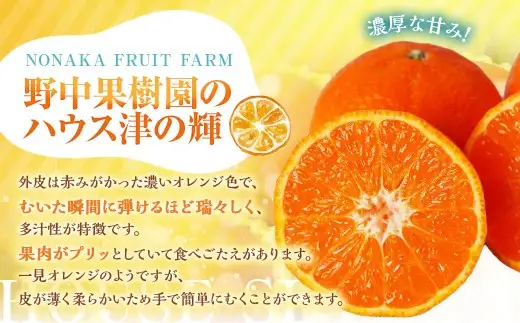 ハウス 「 津の輝 」 約5kg 果物 くだもの フルーツ 柑橘 柑橘類 柑橘系 旬 果実 果汁 果肉 国産 長崎県産 【 2027年1月下旬～2月上旬まで順次発送予定 】