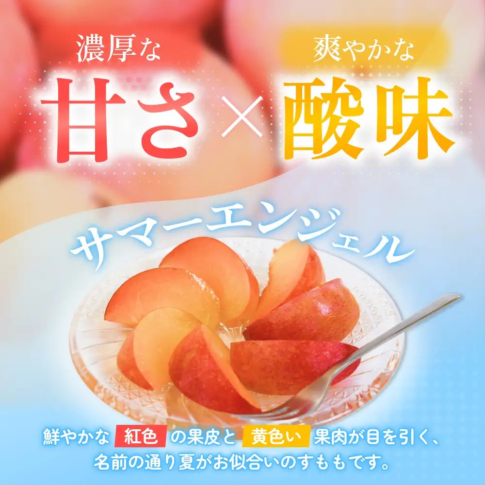 サマーエンジェル (スモモ)  約1.7kg 秀品11～12玉 こだわり農家厳選！【2027年7月上旬～7月中旬順次発送予定】【BK-kgr048】