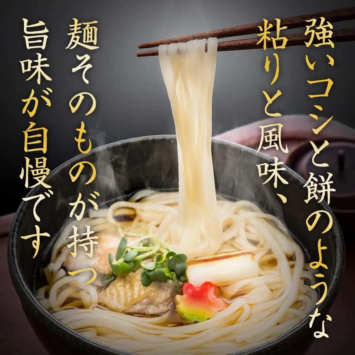 【 3回 隔月 定期便 】 海津屋 氷見うどん 細麺 5本 ＋ つゆ 5袋 × 2 （ 自家用 ） 簡易箱 手延べ うどん 国内製造 麺類 富山県 氷見市