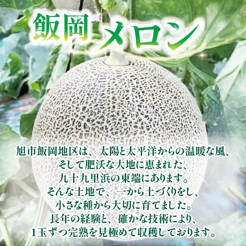 メロン 訳あり 2027年 先行予約 赤肉 約 11kg 6～12玉 タカミメロン