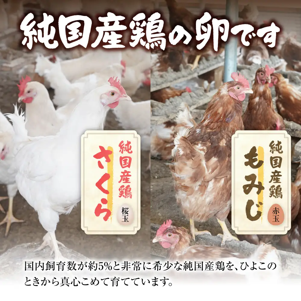 紅たまごと黄金卵 各30個セット | たまご タマゴ 平飼いたまご たまごかけご飯 玉子 生卵 卵焼 北海道 当別町