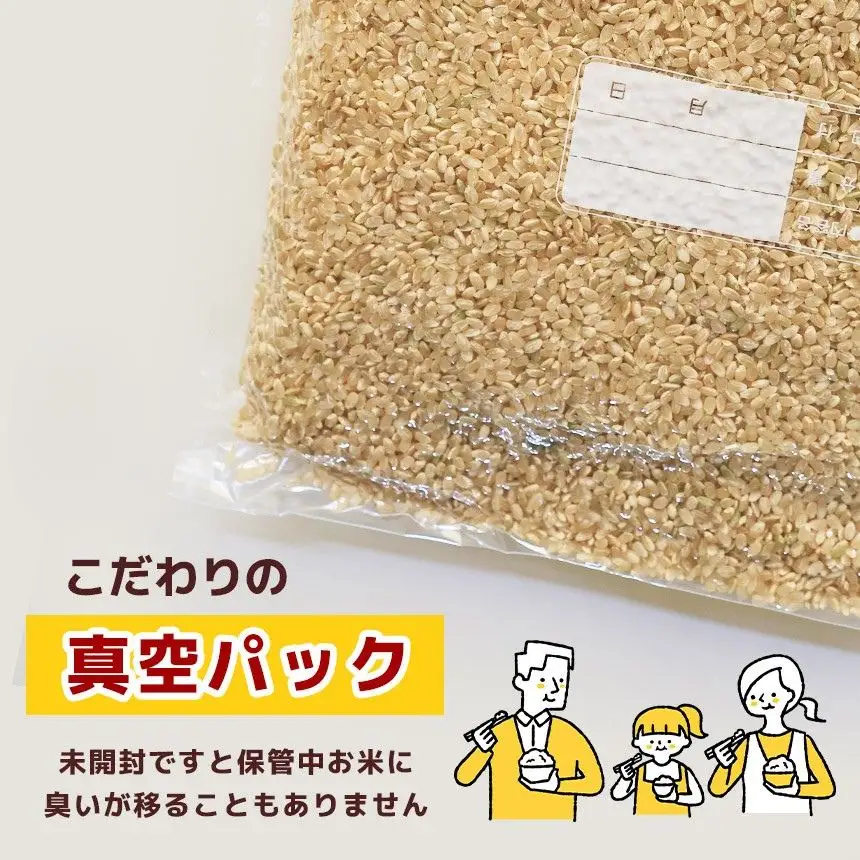 【先行予約】 訳あり 令和8年度 新米 真岡市産とちぎの星（玄米真空パック) 約4kg