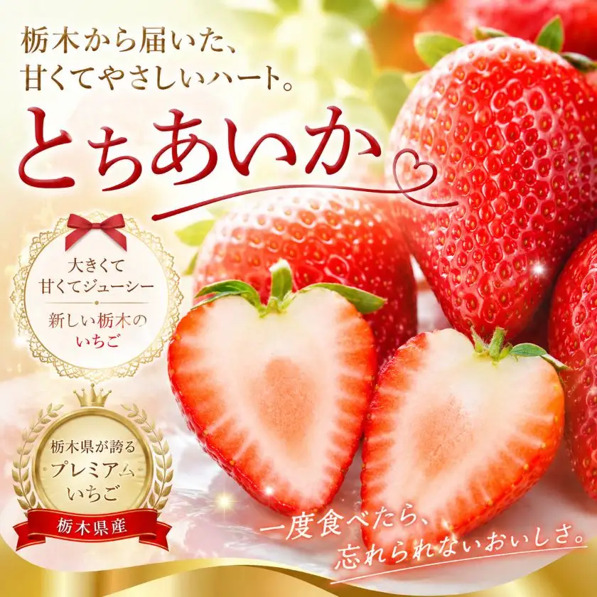 【先行予約】いちご とちあいか 1120g (280g×4P) | 栃木県 那珂川町 送料無料