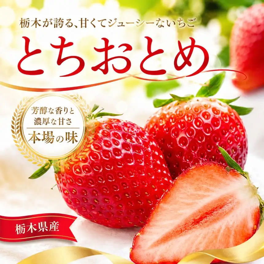 【先行予約】いちご とちおとめ 1120g (280g×4P) | 栃木県 那珂川町 送料無料