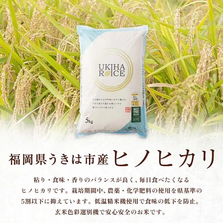 【12ヶ月定期便】 米 玄米 UKIHA RICE 5kg×12回 特別栽培米 計60kg ヒノヒカリ 令和8年産 新米 みずほファーム A06-014